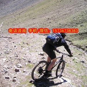 自动化控制系统
