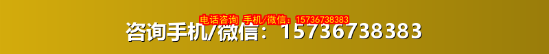 咨询手机/微信：15736738383