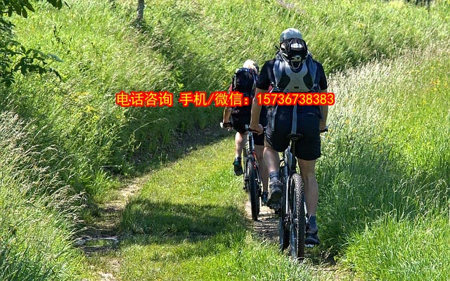 电气生产